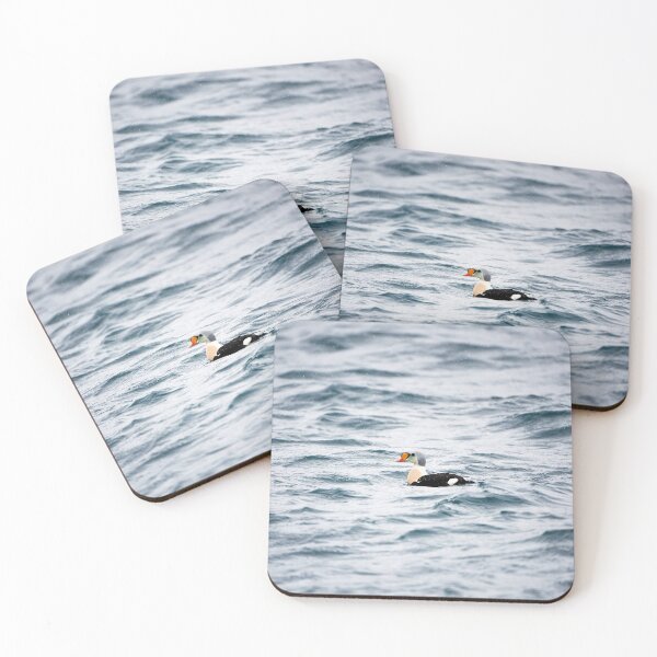 Item preview, King or Royal Eider (Somateria spectabilis) designed and sold by Andreas Koerner.