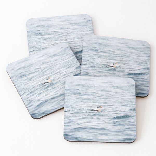 Item preview, King or Royal Eider (Somateria spectabilis) designed and sold by Andreas Koerner.