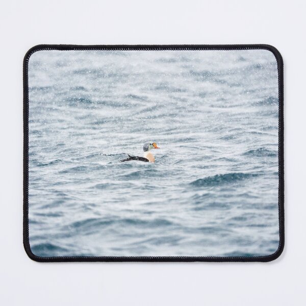 Item preview, King or Royal Eider (Somateria spectabilis) designed and sold by Andreas Koerner.