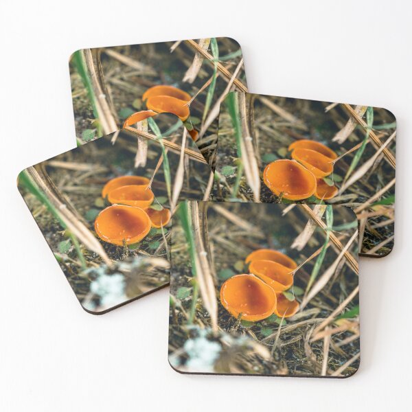 Item preview, Orange Peel Fungus – Aleuria aurantia in Forest Grass designed and sold by alicjamiekina.