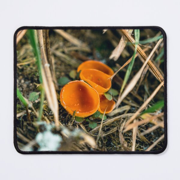Item preview, Orange Peel Fungus – Aleuria aurantia in Forest Grass designed and sold by alicjamiekina.