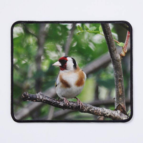Item preview, Goldfinch designed and sold by Izzy-printz.