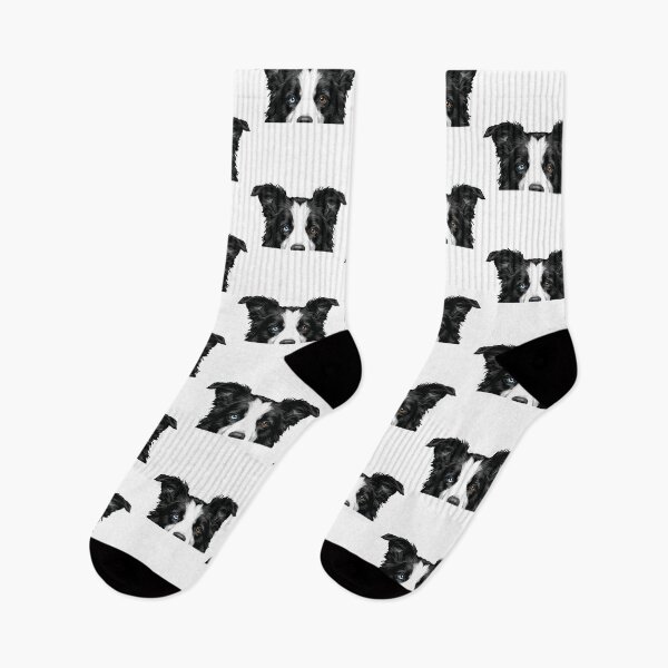 Item preview, The Stare Intense Border Collie Focus designed and sold by Petzzz.