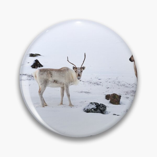 Item preview, Reindeer or Reindeer (Rangifer tarandus) designed and sold by Andreas Koerner.