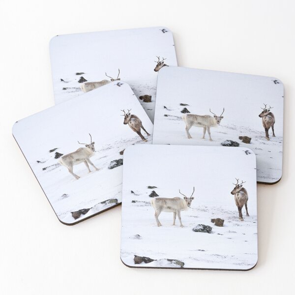 Item preview, Reindeer or Reindeer (Rangifer tarandus) designed and sold by Andreas Koerner.