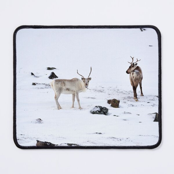 Item preview, Reindeer or Reindeer (Rangifer tarandus) designed and sold by Andreas Koerner.