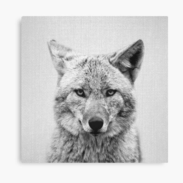 Item preview, Coyote - Black & White designed and sold by galdesign.