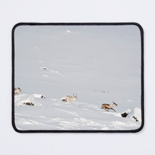 Item preview, On the FRen or reindeer (Rangifer tarandus) air designed and sold by Andreas Koerner.