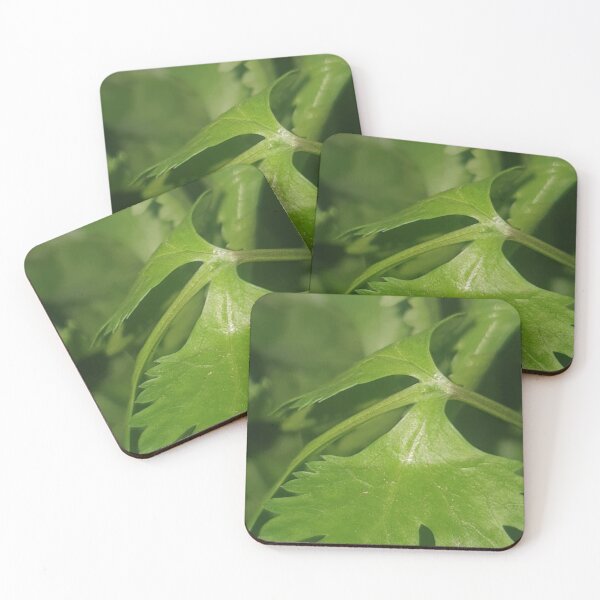 Item preview, Fresh Cilantro Close-Up designed and sold by WittyUnknown.