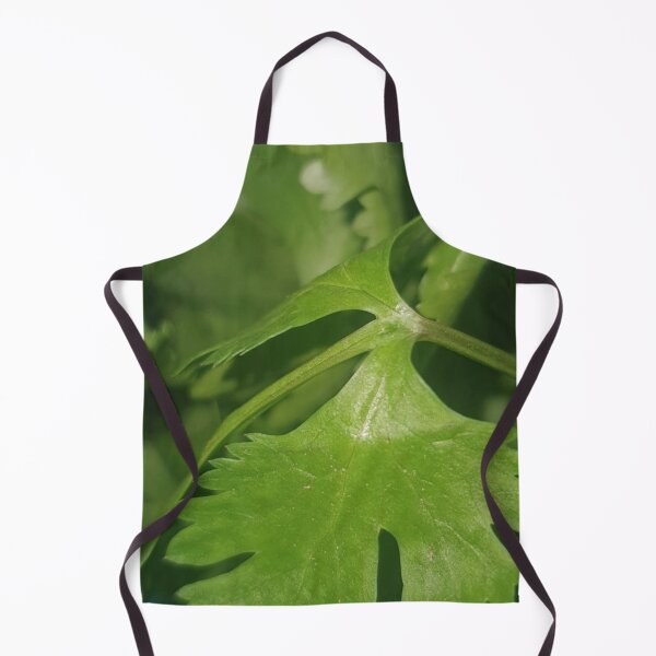 Item preview, Fresh Cilantro Close-Up designed and sold by WittyUnknown.