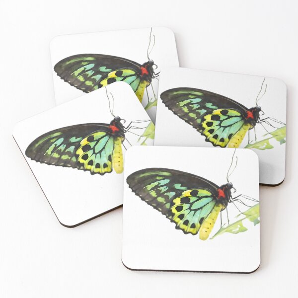 Item preview, Cairns Birdwing (Ornithoptera euphorion) designed and sold by HOMETOWN86.