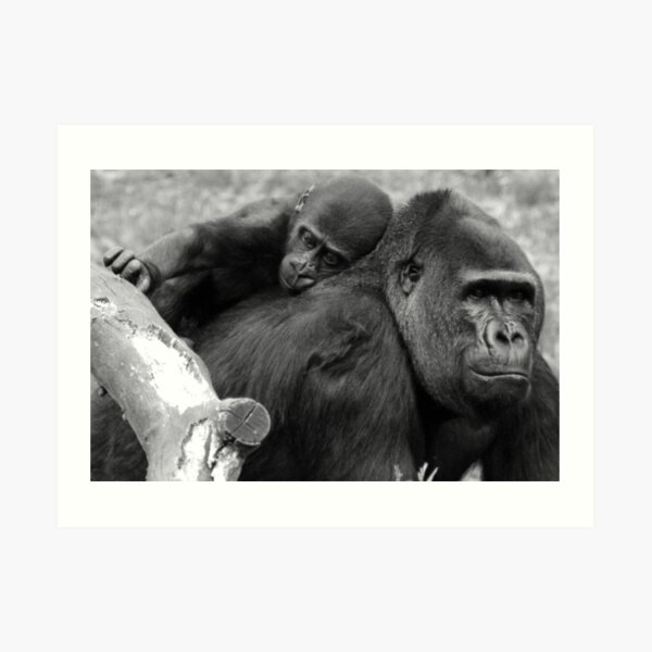 Strong Shoulders Art Print
