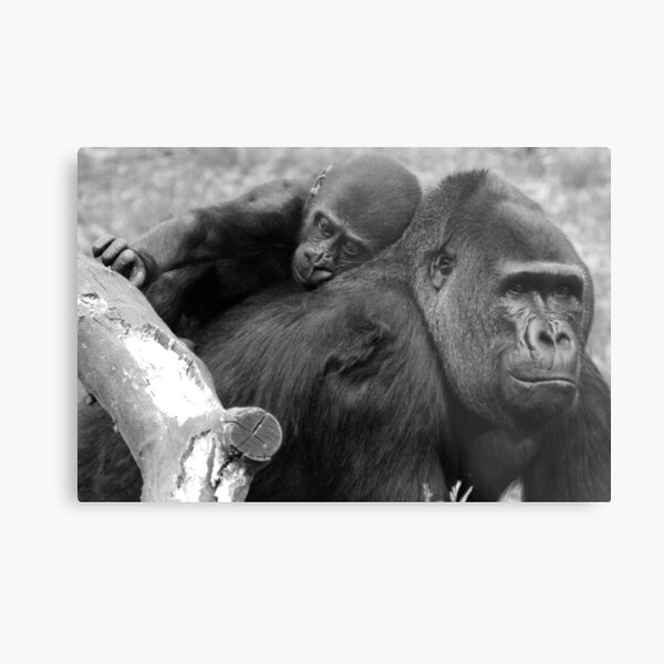 Strong Shoulders Metal Print
