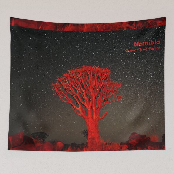 Item preview, Starry sky in the Quiver Tree Forest, Namibia. Original photography designed and sold by studio838.