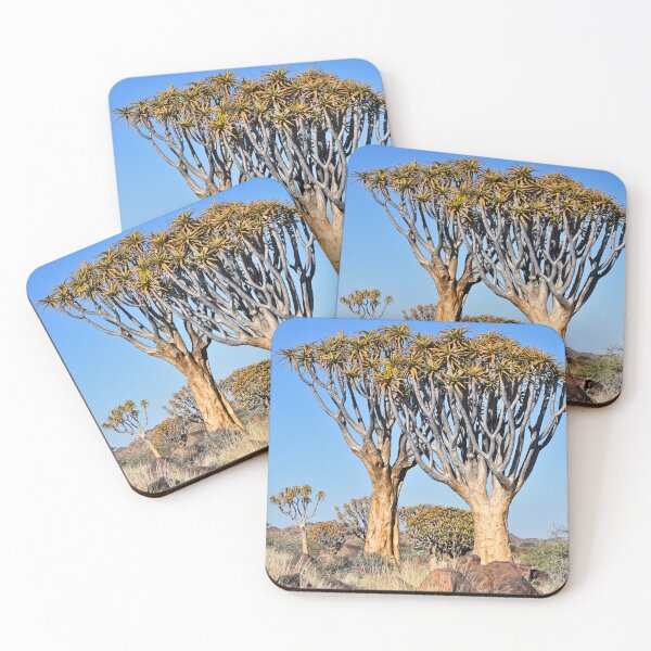 Item preview, Quiver Tree Forest in Namibia. Original photography designed and sold by studio838.