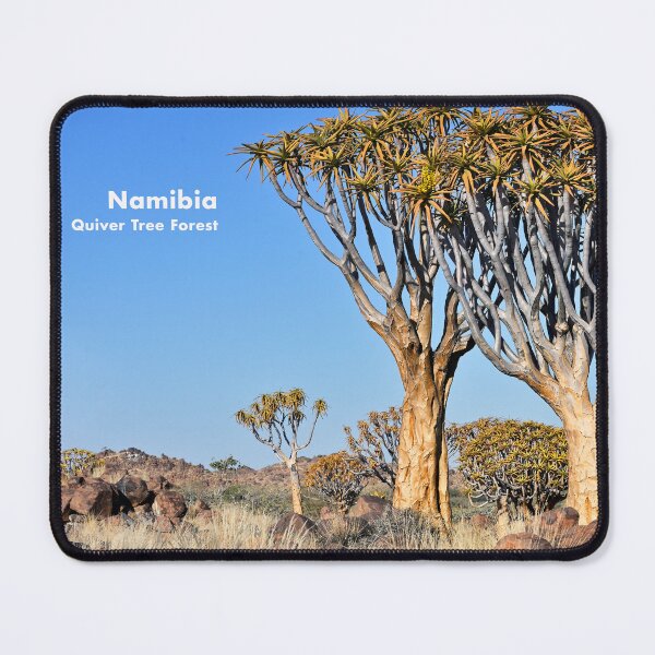 Item preview, Quiver Tree Forest in Namibia. Original photography designed and sold by studio838.