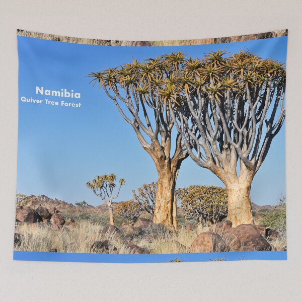 Item preview, Quiver Tree Forest in Namibia. Original photography designed and sold by studio838.