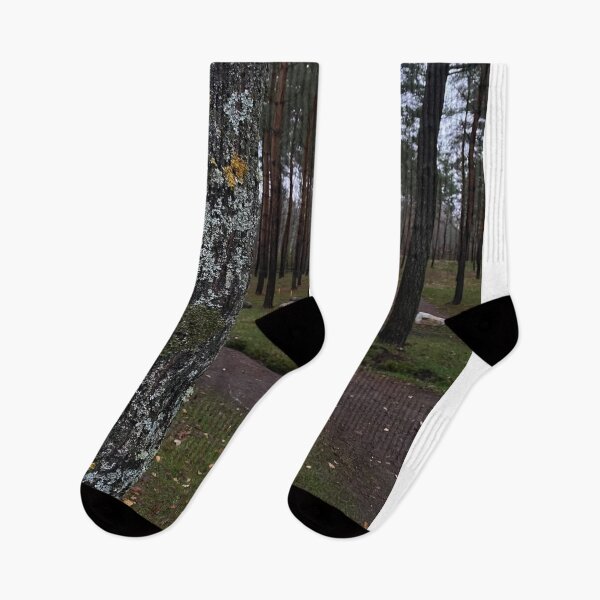 Item preview, Ashbound Forest Titan designed and sold by Wieckmananddoc.