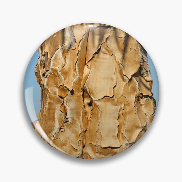 Item preview, Quiver Tree Forest in Namibia. Original photography designed and sold by studio838.