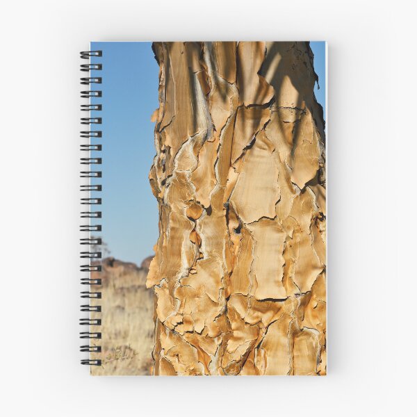 Item preview, Quiver Tree Forest in Namibia. Original photography designed and sold by studio838.