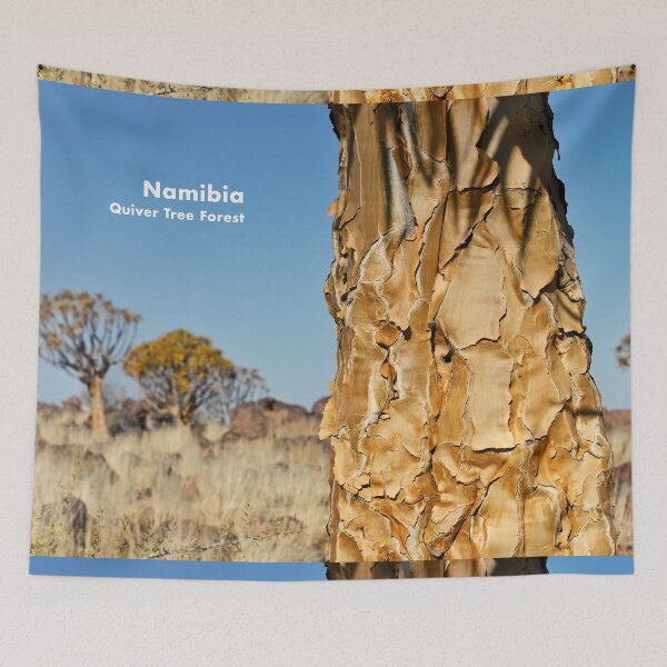 Item preview, Quiver Tree Forest in Namibia. Original photography designed and sold by studio838.
