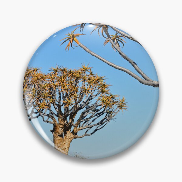 Item preview, Quiver Tree Forest in Namibia. Original photography designed and sold by studio838.