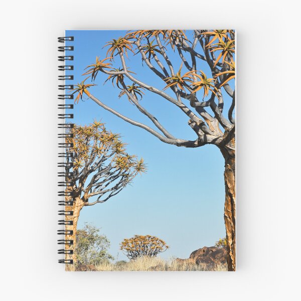 Item preview, Quiver Tree Forest in Namibia. Original photography designed and sold by studio838.