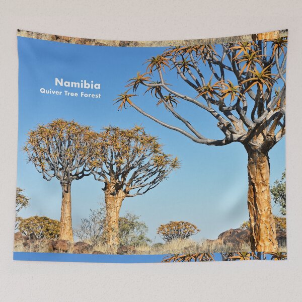 Item preview, Quiver Tree Forest in Namibia. Original photography designed and sold by studio838.