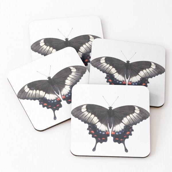 Item preview, Orchard Swallowtail (Papilio aegeus) designed and sold by HOMETOWN86.