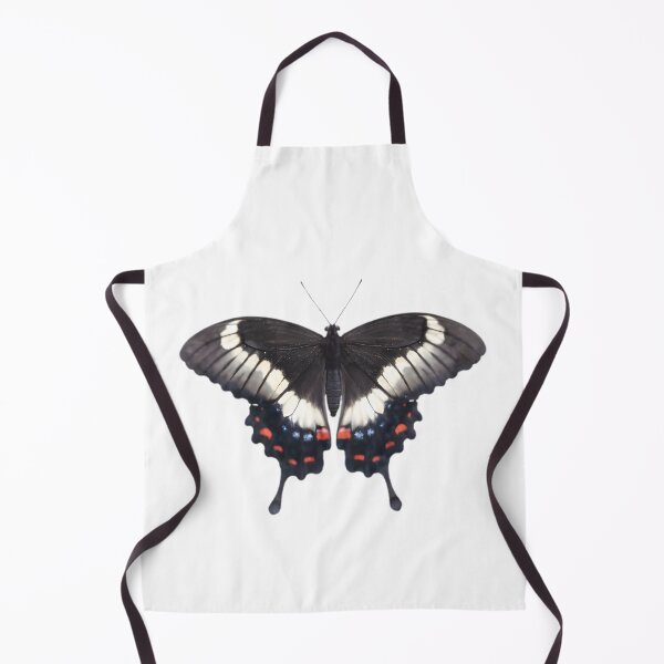 Item preview, Orchard Swallowtail (Papilio aegeus) designed and sold by HOMETOWN86.