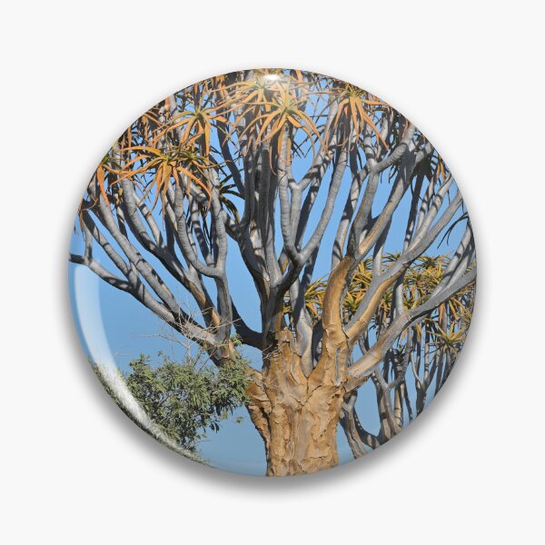 Item preview, Quiver Tree Forest in Namibia. Original photography designed and sold by studio838.