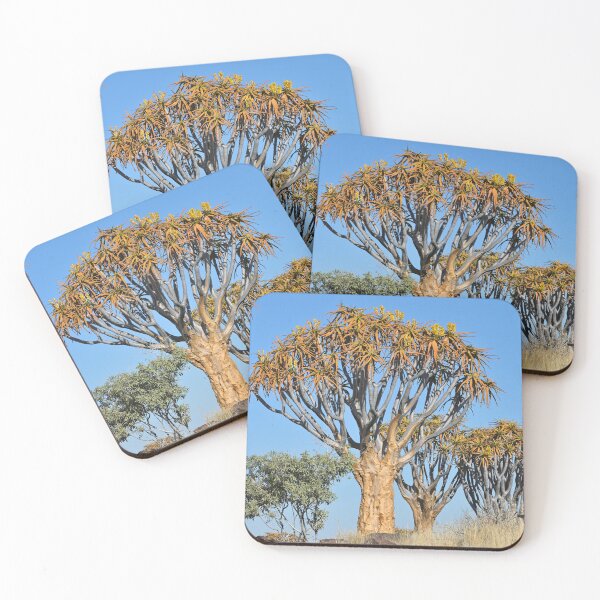 Item preview, Quiver Tree Forest in Namibia. Original photography designed and sold by studio838.