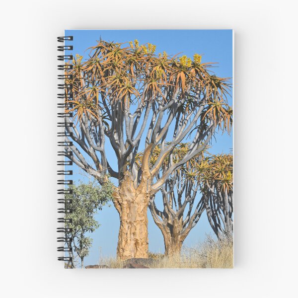 Item preview, Quiver Tree Forest in Namibia. Original photography designed and sold by studio838.
