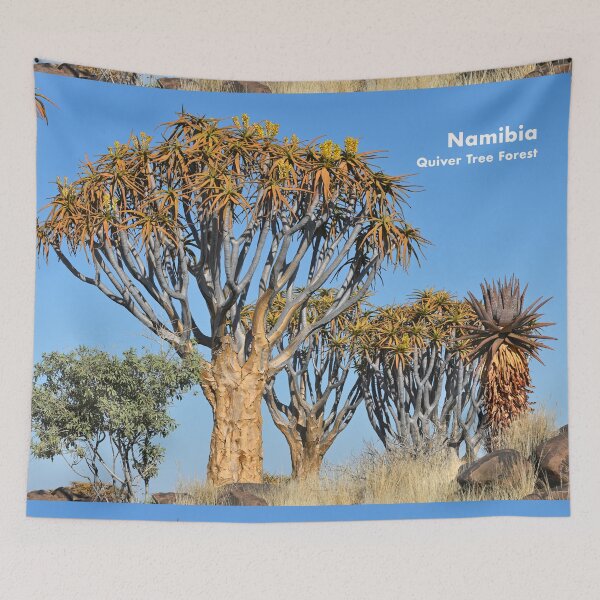 Item preview, Quiver Tree Forest in Namibia. Original photography designed and sold by studio838.