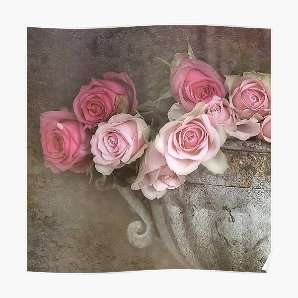 Pink roses 2 Poster