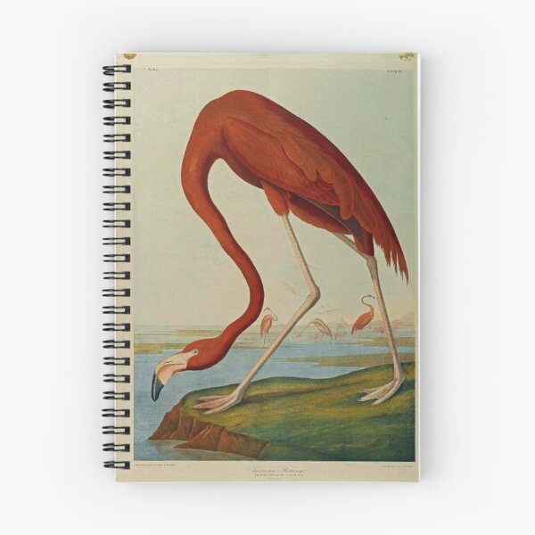 Item preview, Reprint of Flamingo vintage poster designed and sold by Epic Splash Creations.