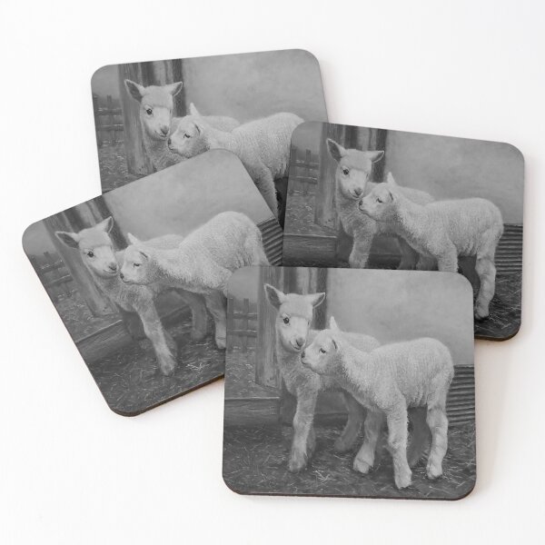 Item preview, Lamb Companions – Black & White Pastoral Photo designed and sold by Langlearn Spatial.