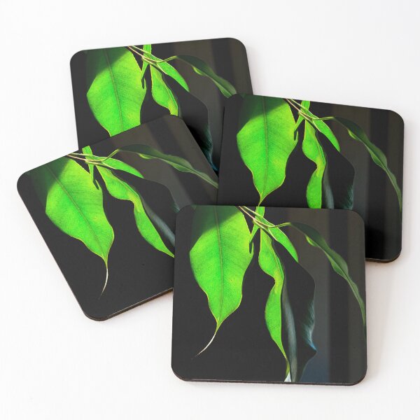 Item preview, House Plant # 2 designed and sold by JohnDSmith.