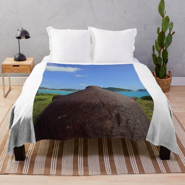 Item preview, Cannon Protecting Fort Amsterdam Saint Martin Vertical designed and sold by LisaWootenPhoto.