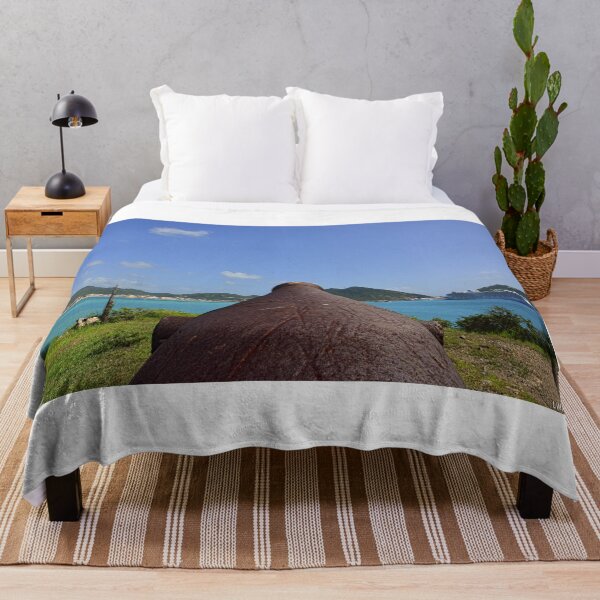 Item preview, Cannon Protecting Fort Amsterdam Saint Martin designed and sold by LisaWootenPhoto.