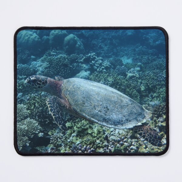 Item preview, Hawksbill Turtle resting on the reef designed and sold by Marine Motif.