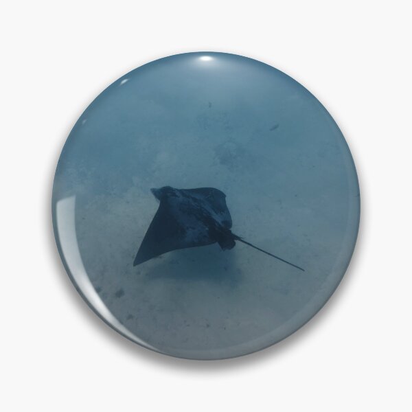 Item preview, Common Eagle Ray designed and sold by Marine Motif.