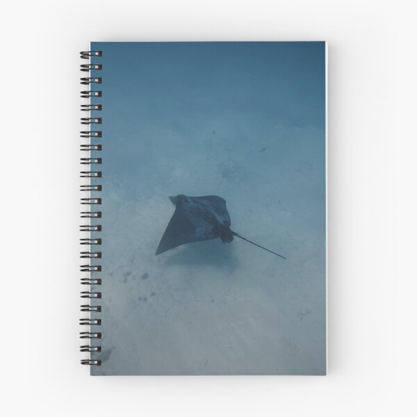 Item preview, Common Eagle Ray designed and sold by Marine Motif.
