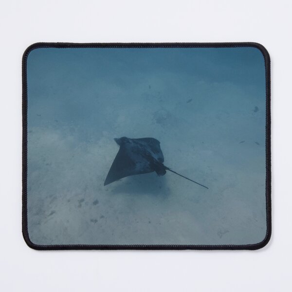 Item preview, Common Eagle Ray designed and sold by Marine Motif.