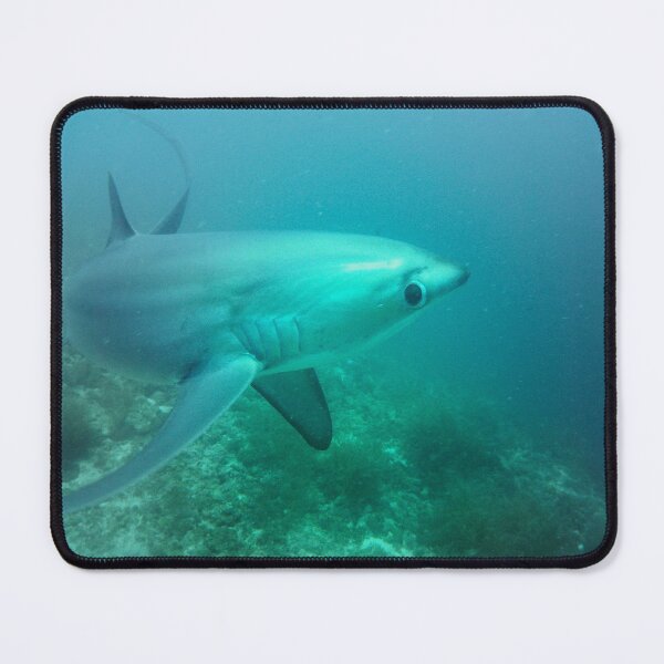 Item preview, Shark Side Eye designed and sold by Marine Motif.
