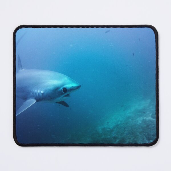 Item preview, Shark on a Shoal designed and sold by Marine Motif.
