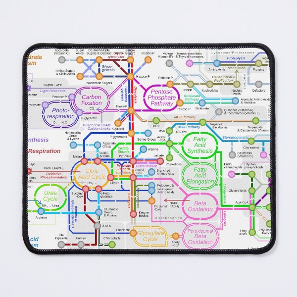 Item preview, Metabolic subway metro map pathway designed and sold by Science Store.