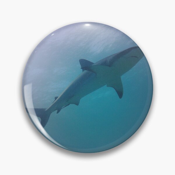Item preview, Caribbean Reef Shark designed and sold by Marine Motif.