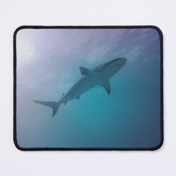 Item preview, Caribbean Reef Shark designed and sold by Marine Motif.