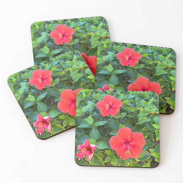Item preview, Flowers  designed and sold by Lauracolleen3.